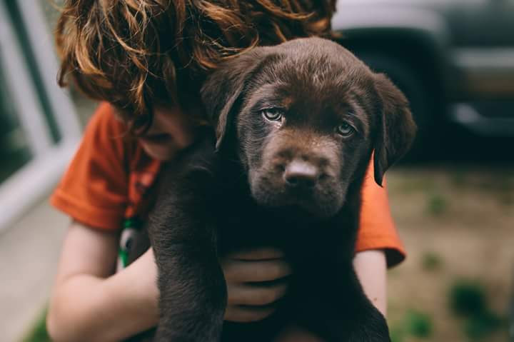 FB_IMG_1465990391739