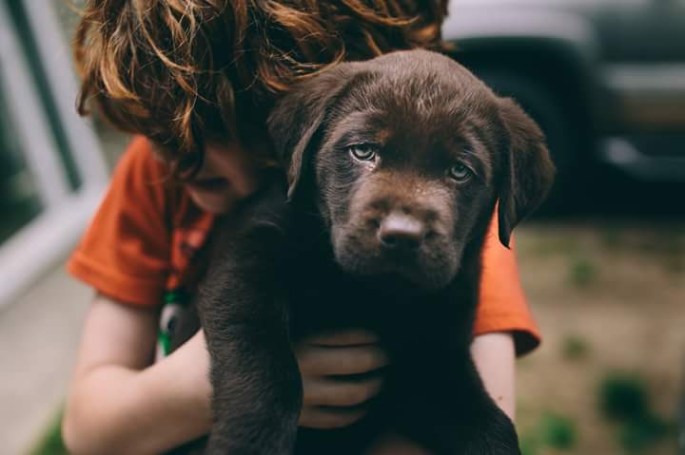 FB_IMG_1465990391739